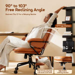 oraimo SoftNest Double-Layer Cushioning Office Chair