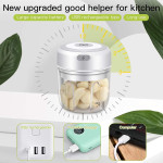 Mini Hand Pull Manual Garlic/Food Chopper